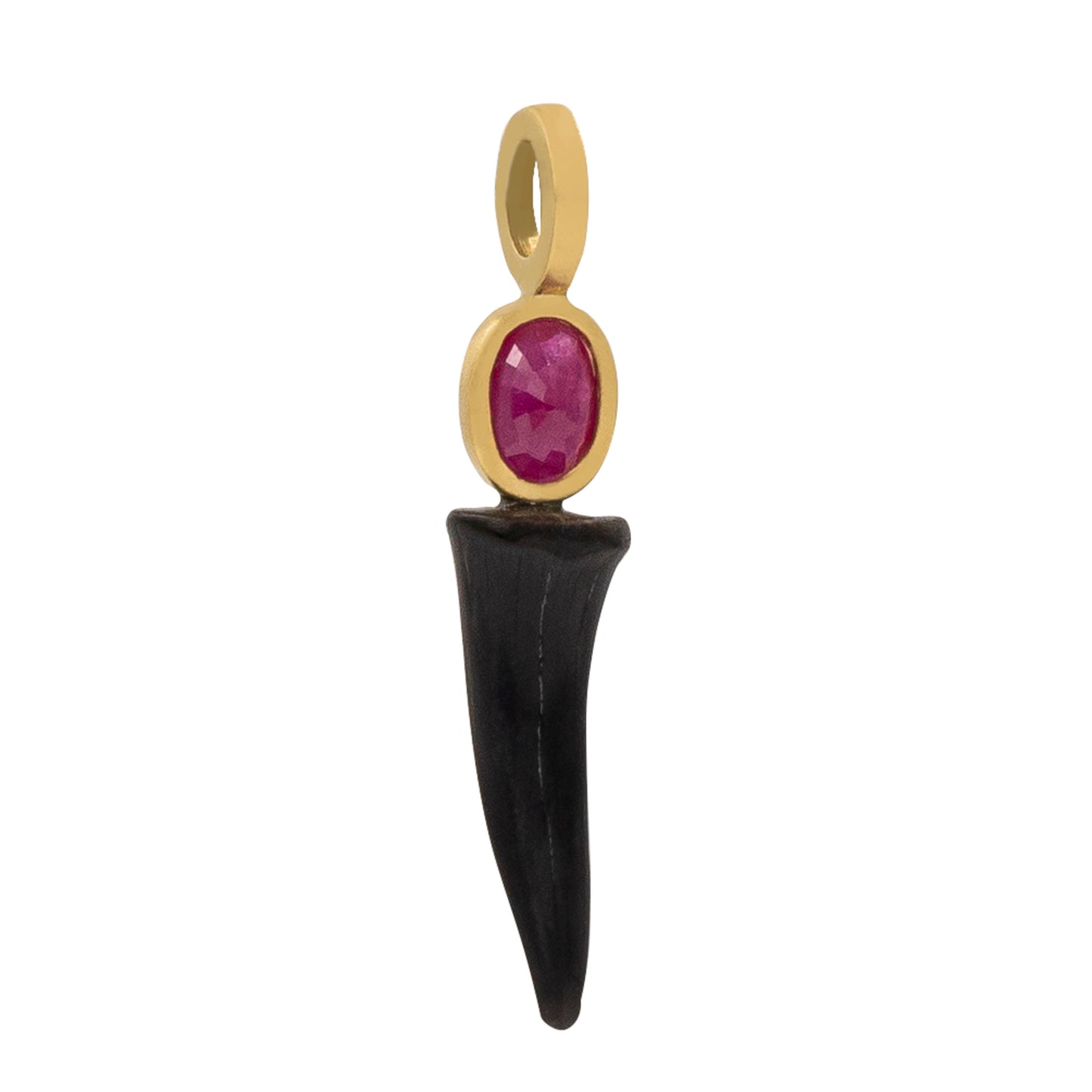 18K Fossilized Shark Tooth with Bezel Set Oval Ruby Pendant