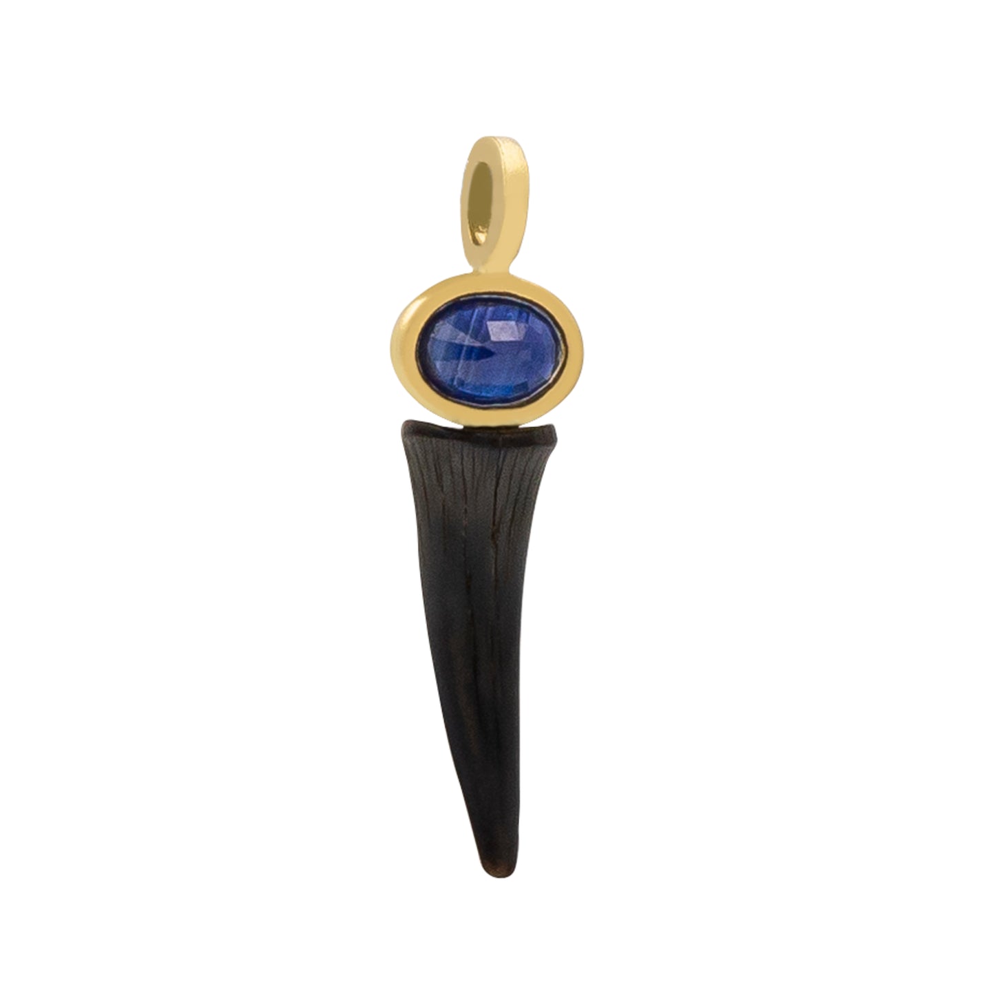 18K Fossilized Shark Tooth with Bezel Set Oval Sapphire Pendant