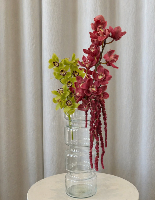Orchid Dream