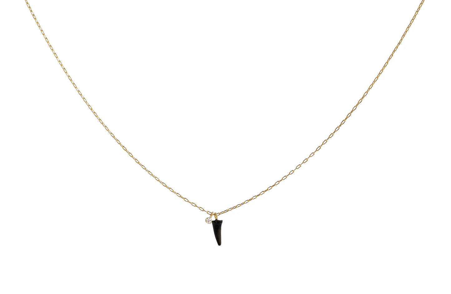 18K Fossilized Shark Tooth and Bezel-Set White Diamond Charm Necklace