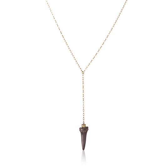 18K Fossilized Shark Tooth Necklace with Yellow Diamond Drop