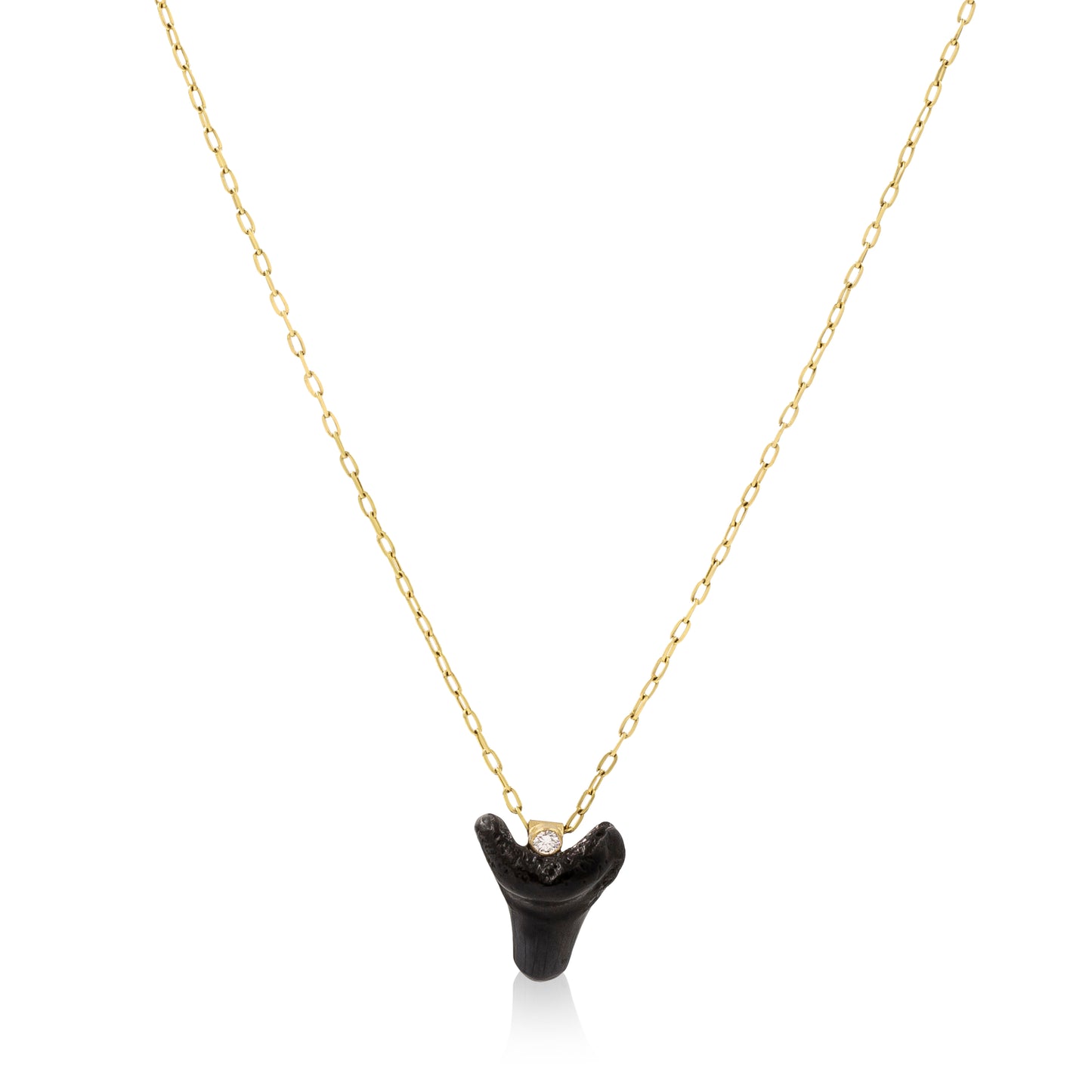 18K Fossilized Shark Tooth Necklace